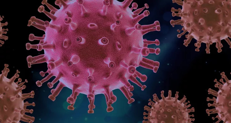 virus 4937553 1920 virus 4937553 1920